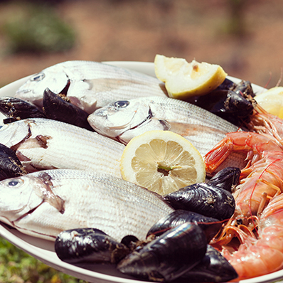 BOSH_Search Results_Food and Drink_Mid and South Wales Food Trail (Wales)