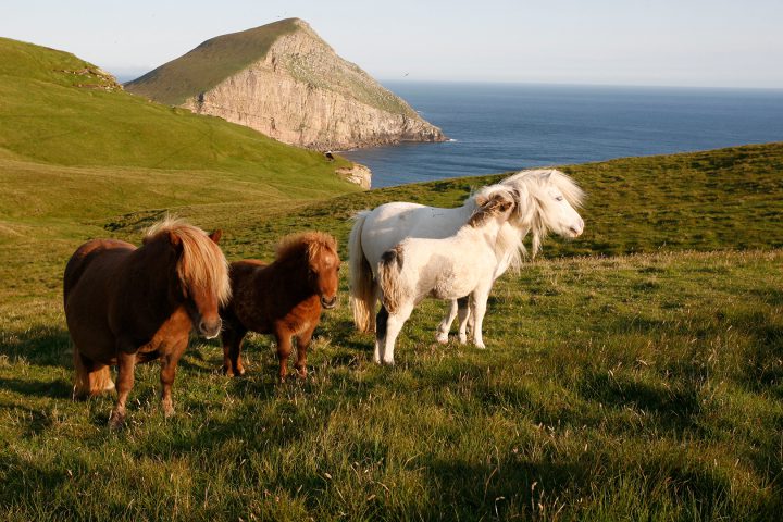 Scotland unique experiences