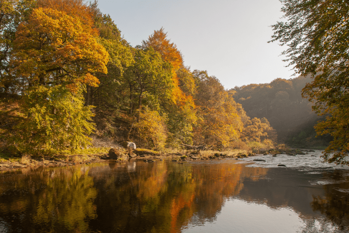 River Wharfe