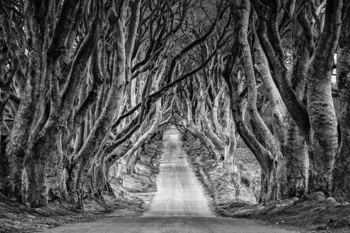 rosie-kerr-vppwHIitOoE-unsplash