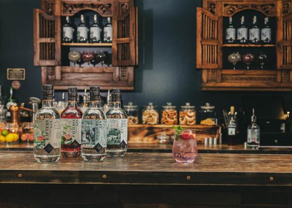 Ireland gin distillery inspired gin bar featuring premium craft spirits, botanical garnishes and elegant cocktails in a stylish tasting setting.